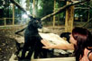 Oooooo...  This black leopard means business.  It wants to eat Kariann...